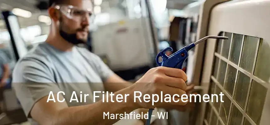  AC Air Filter Replacement Marshfield - WI