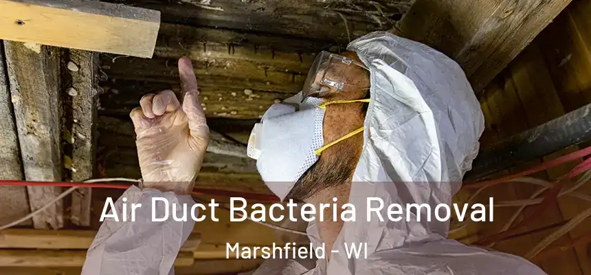  Air Duct Bacteria Removal Marshfield - WI