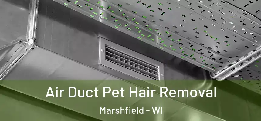 Air Duct Pet Hair Removal Marshfield - WI