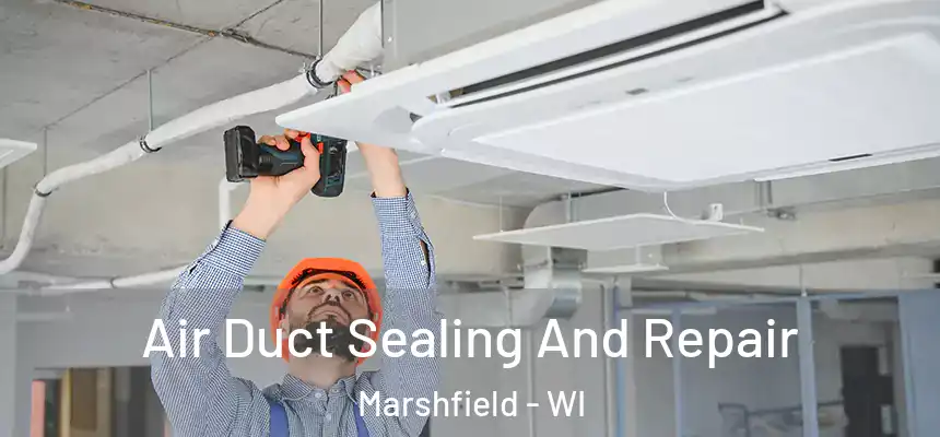  Air Duct Sealing And Repair Marshfield - WI