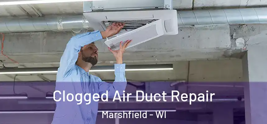  Clogged Air Duct Repair Marshfield - WI
