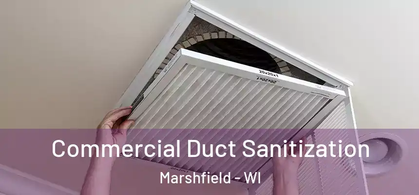Commercial Duct Sanitization Marshfield - WI