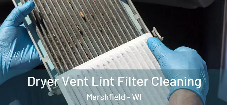  Dryer Vent Lint Filter Cleaning Marshfield - WI