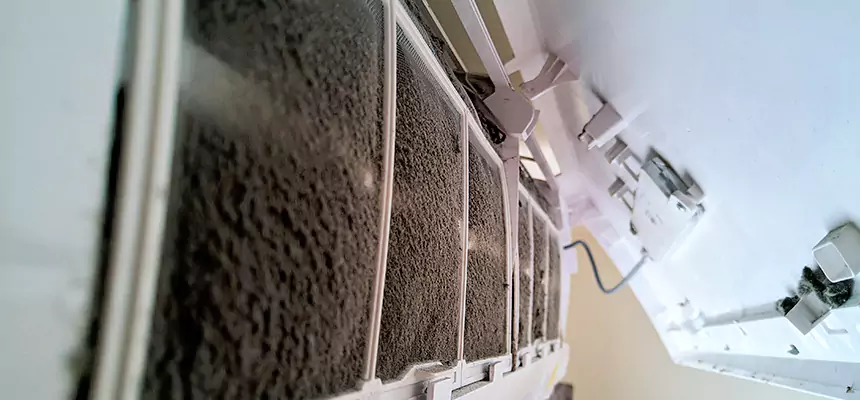 Preventive Air Duct Bacteria Removal in Marshfield