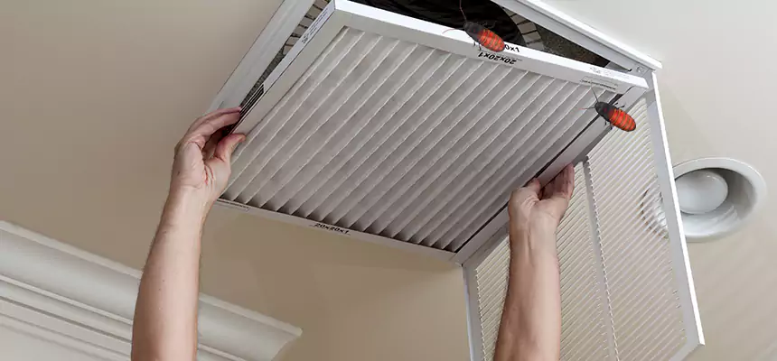 Preventive Cockroach-Proofing for Ducts in Marshfield