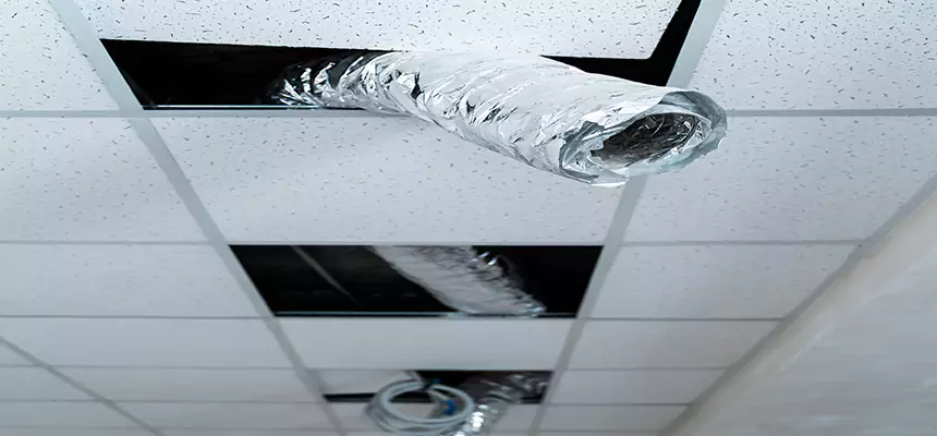 Affordable HVAC Sanitizing After Pest Removal in Marshfield