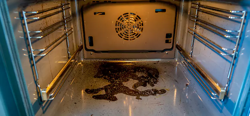 Our Dryer Vent Mold Cleaning Services in Marshfield, WI