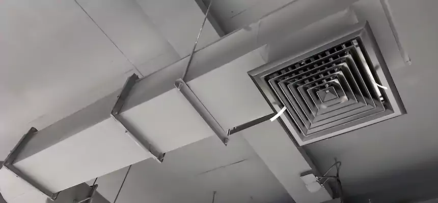 Our Pest Removal From Ducts Services in Marshfield, WI