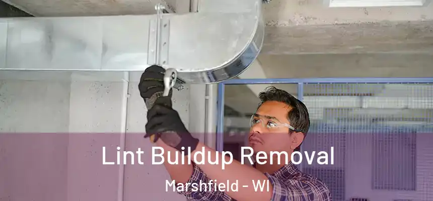  Lint Buildup Removal Marshfield - WI