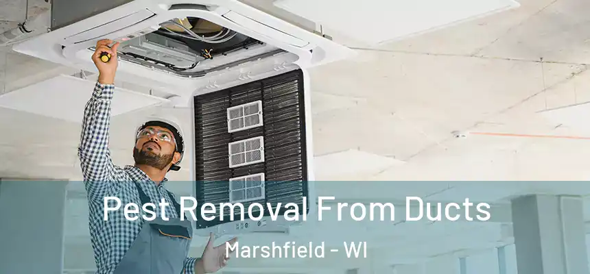  Pest Removal From Ducts Marshfield - WI