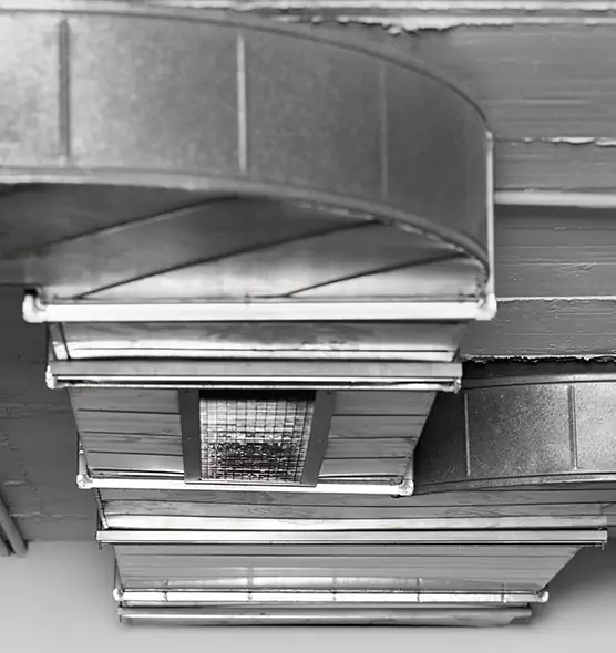 Professional Air Duct Pest Removal in Marshfield, WI