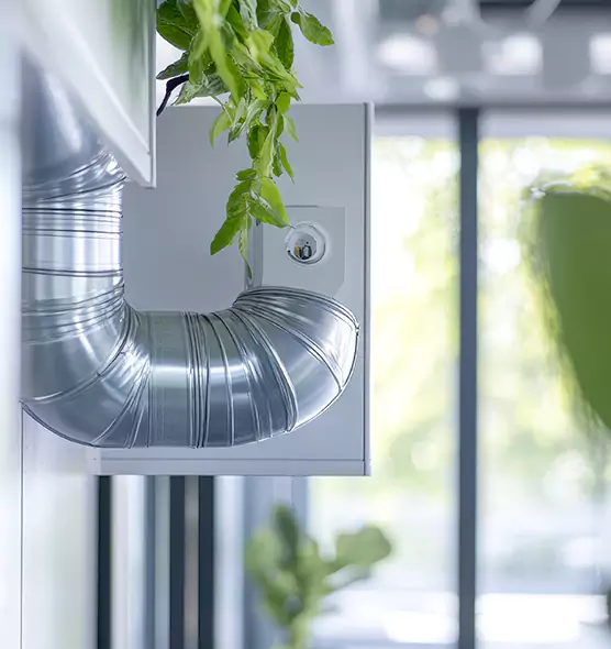 Professional Eco-Friendly Duct Cleaning Services in Marshfield, WI