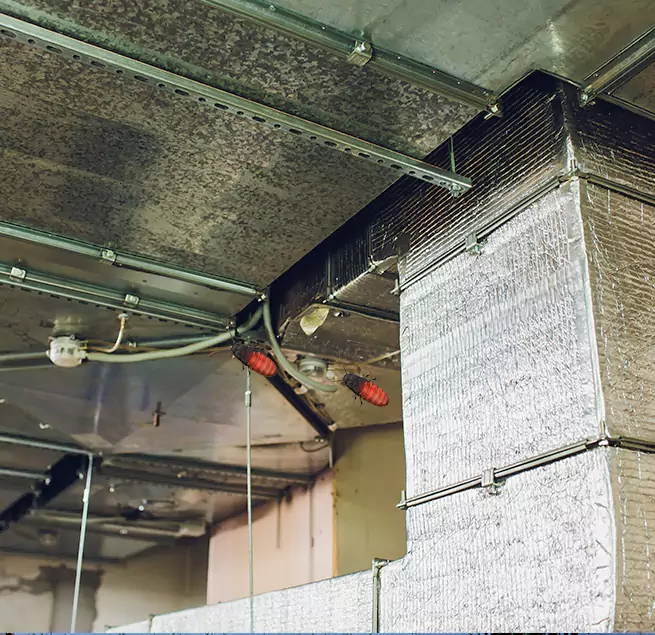 Why Homeowners & Businesses Trust Us in Marshfield, WI?