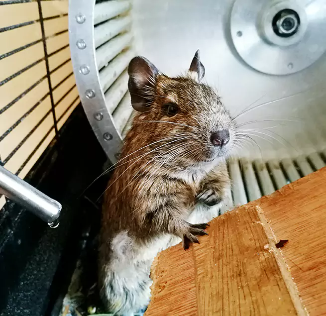 Why Homeowners & Businesses Trust Us Marshfield, WI