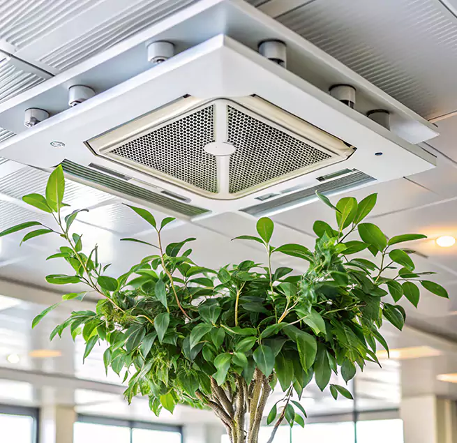 Why Homeowners & Businesses Trust Us in Marshfield, WI?