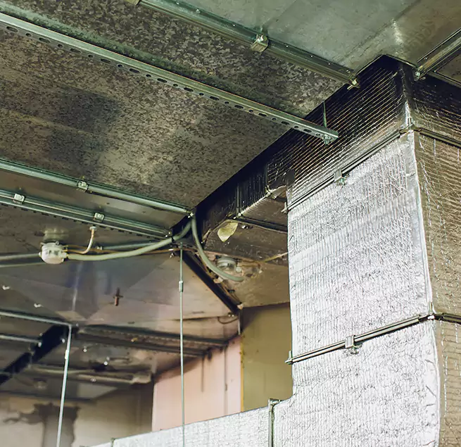 Why Homeowners & Businesses Trust Us in Marshfield, WI?